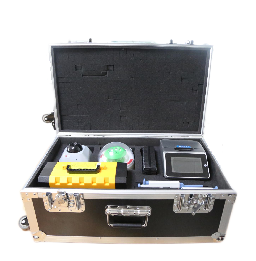 Portable nucleic acid detection box
